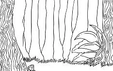 Wald Ausmalbilder 47