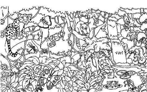 Wald Ausmalbilder 5