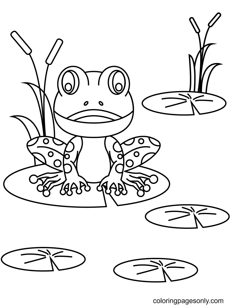 Ranas Para Colorear 51