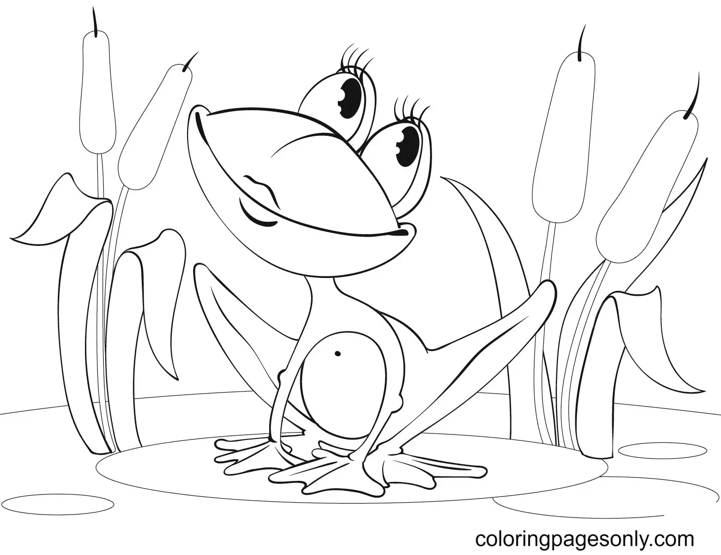 Ranas Para Colorear