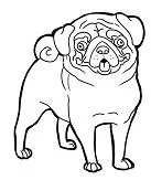 Divertidos Para Colorear 87