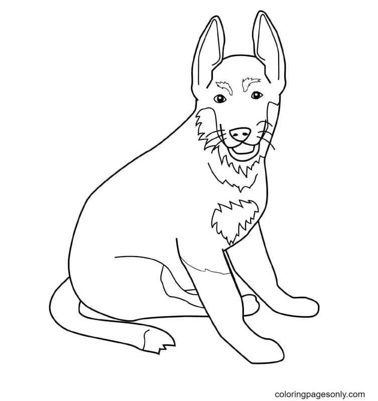 German Shepherd Coloring Pages 19