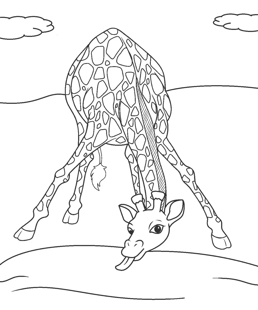 Giraffen Ausmalbilder 55
