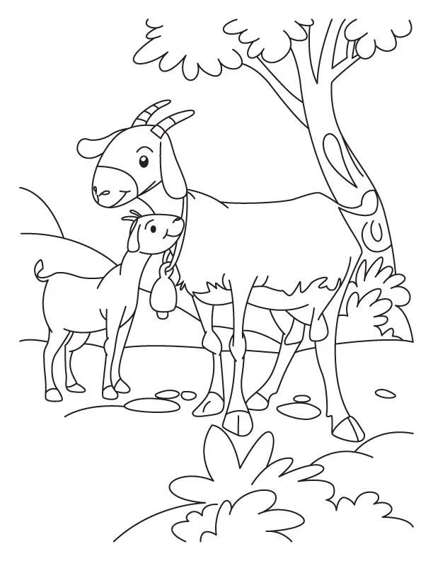 Cabras Para Colorear 13
