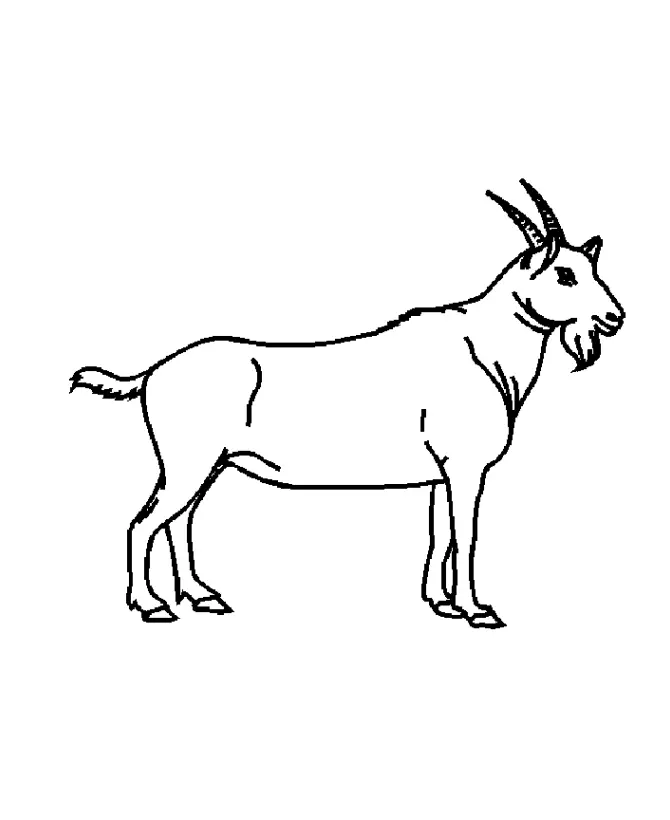 Cabras Para Colorear 15