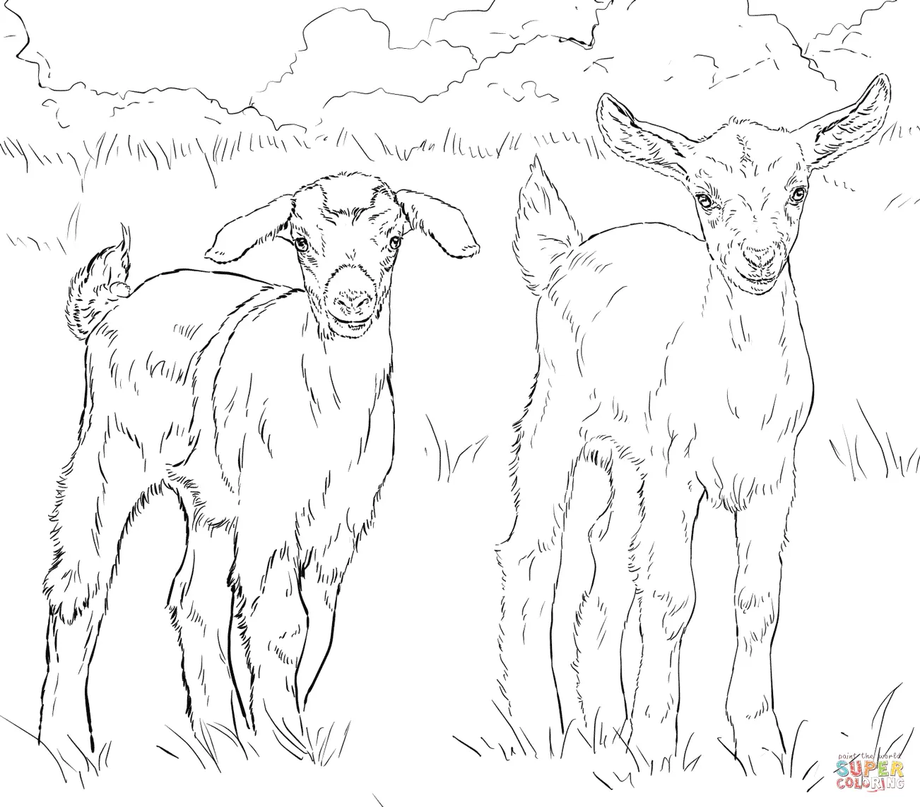 Cabras Para Colorear 18