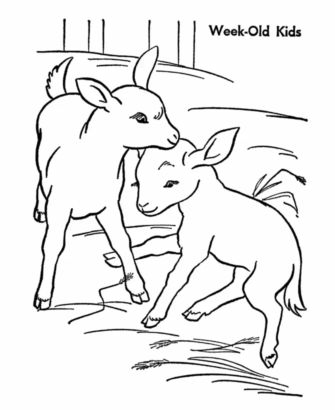 Cabras Para Colorear 19