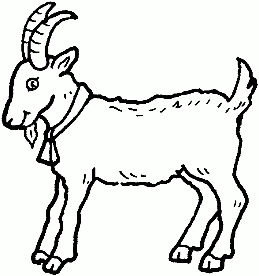 Cabras Para Colorear 2
