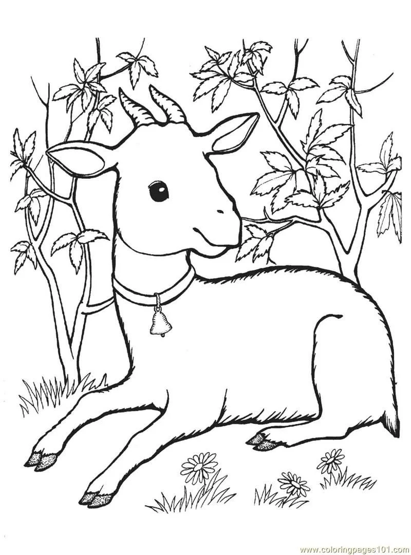 Cabras Para Colorear 22