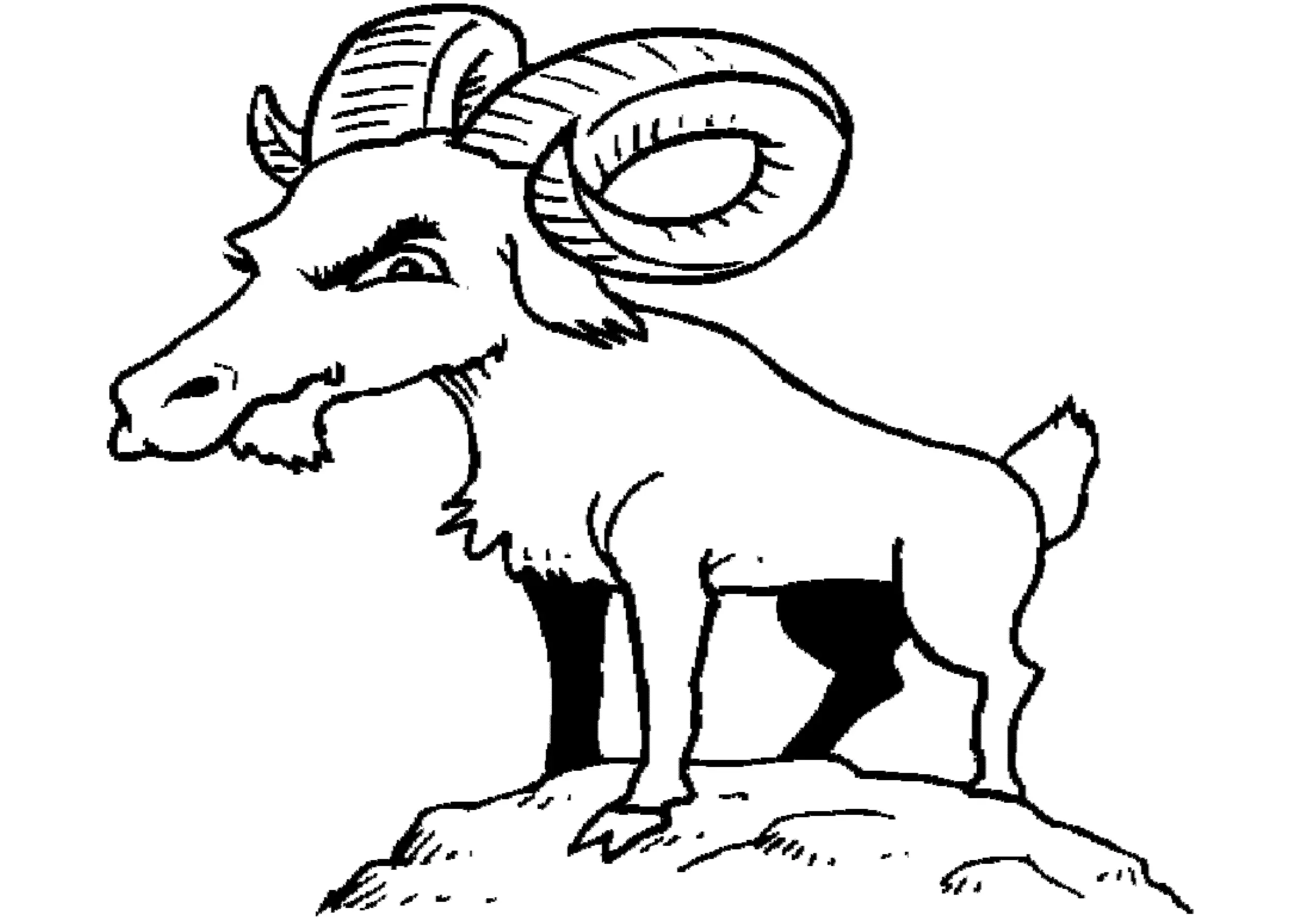 Cabras Para Colorear 23