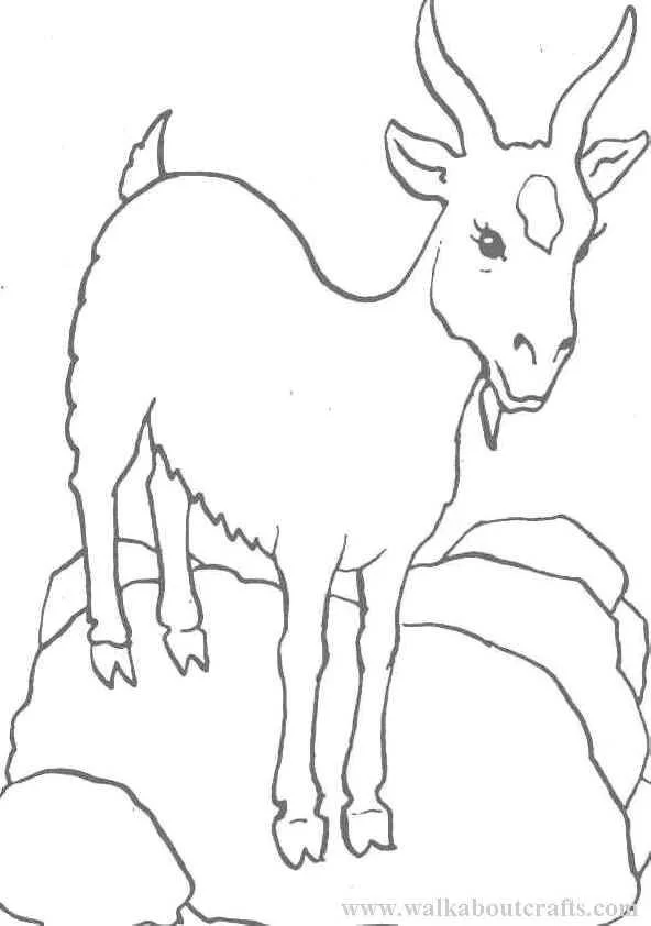 Cabras Para Colorear 32