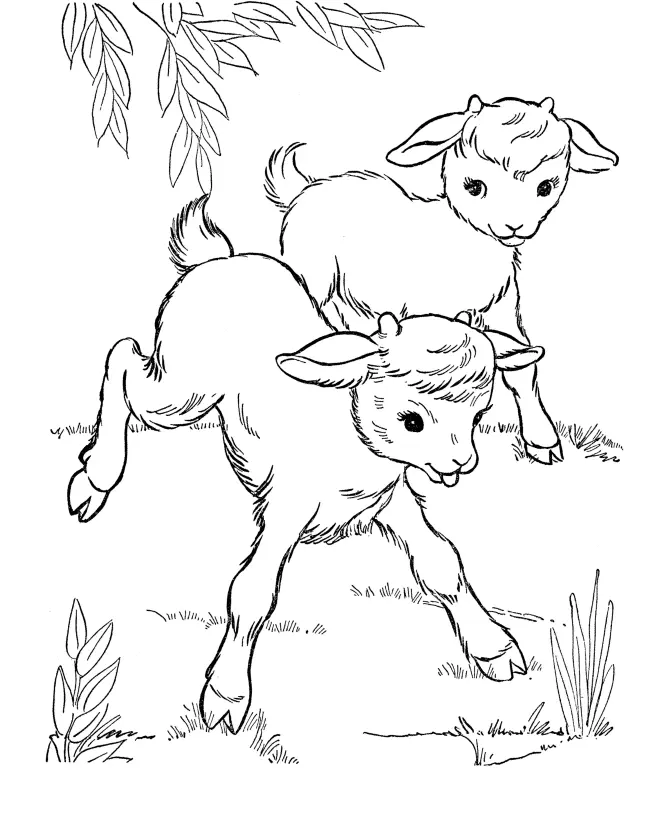 Cabras Para Colorear 5