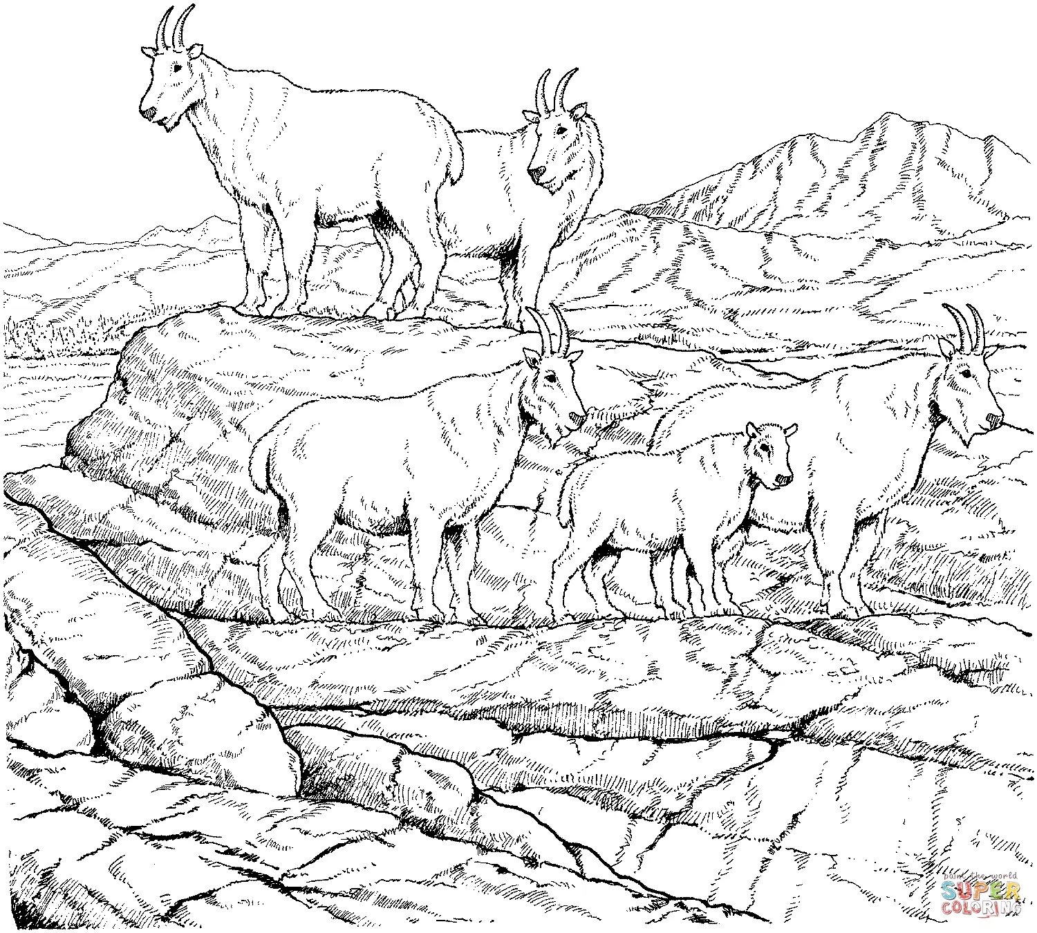 Cabras Para Colorear 7