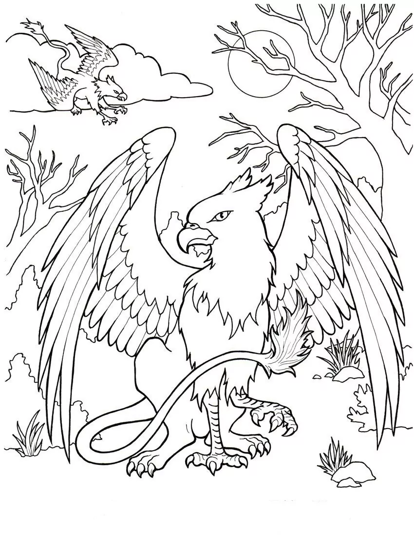 Griffin Ausmalbilder 4