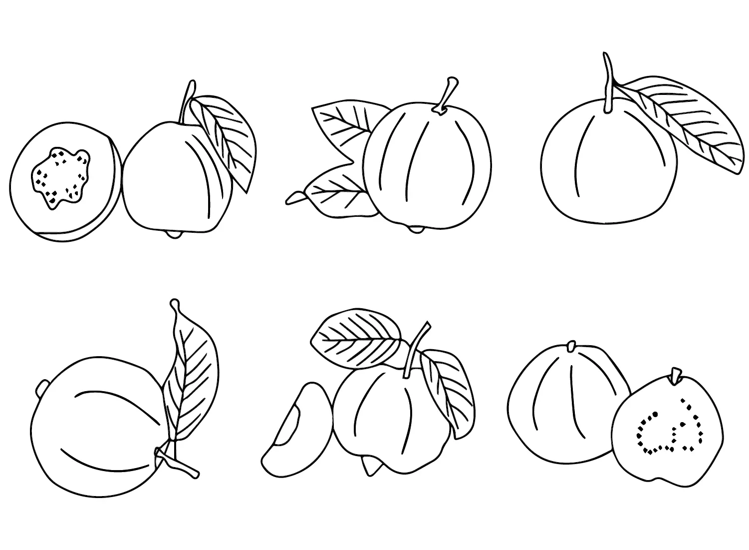 Desenhos de Goiabas Para Colorir