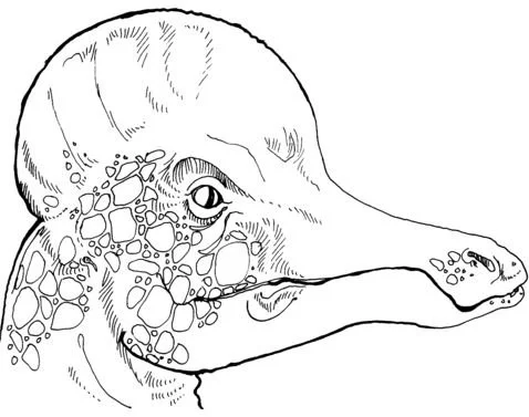 Hadrosaurus Coloring Pages