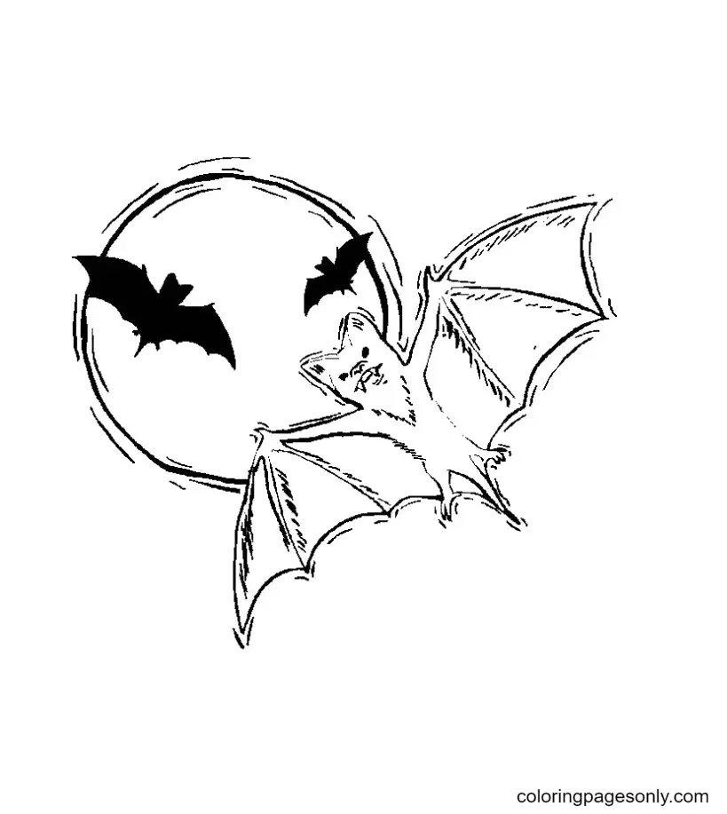 Ausmalbilder Halloween Fledermaus 28