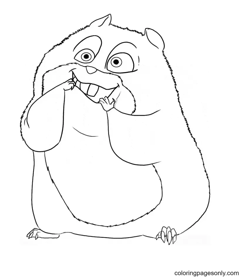 Desenhos de Hamster Para Colorir 38