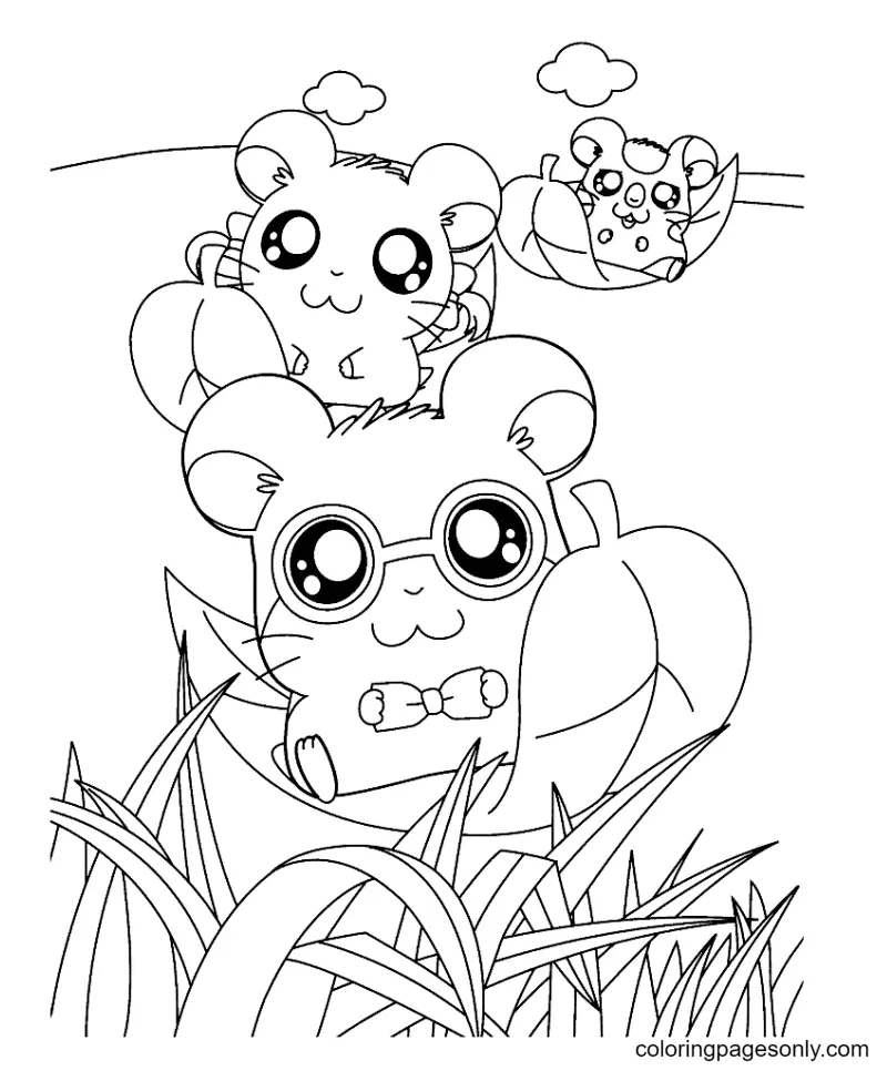 Desenhos de Hamster Para Colorir 47