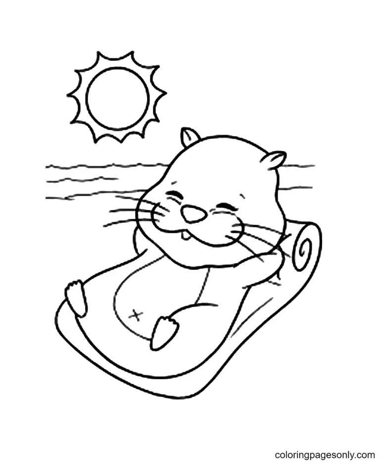 Hamster Coloring Pages 49