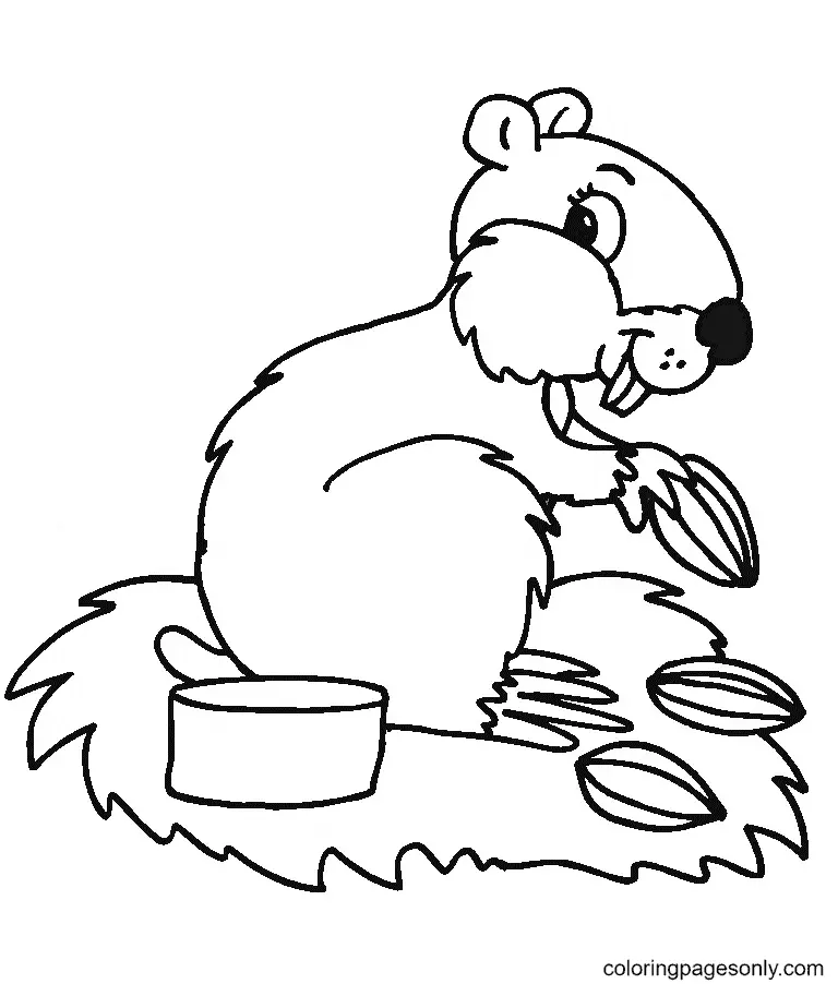 Hamster Coloring Pages 56