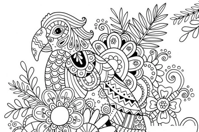 Desenhos de Paginas Dificeis Para Colorir 10