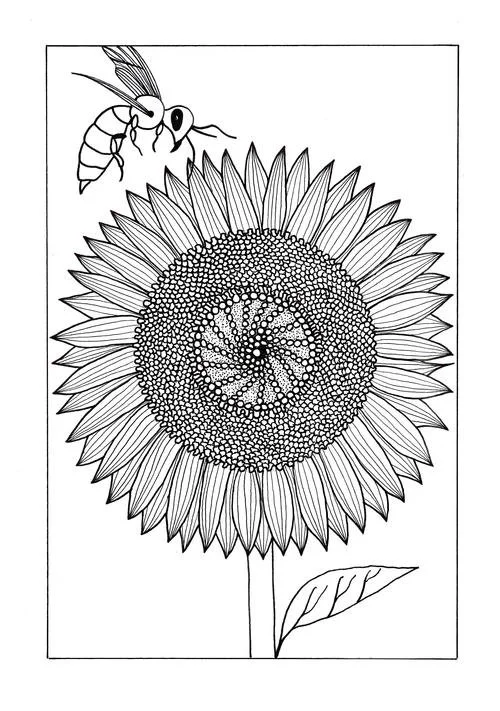 Desenhos de Paginas Dificeis Para Colorir 104