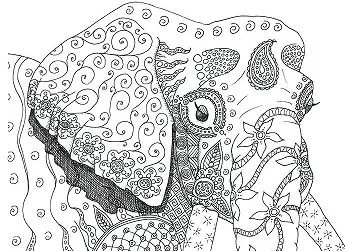 Desenhos de Paginas Dificeis Para Colorir 29
