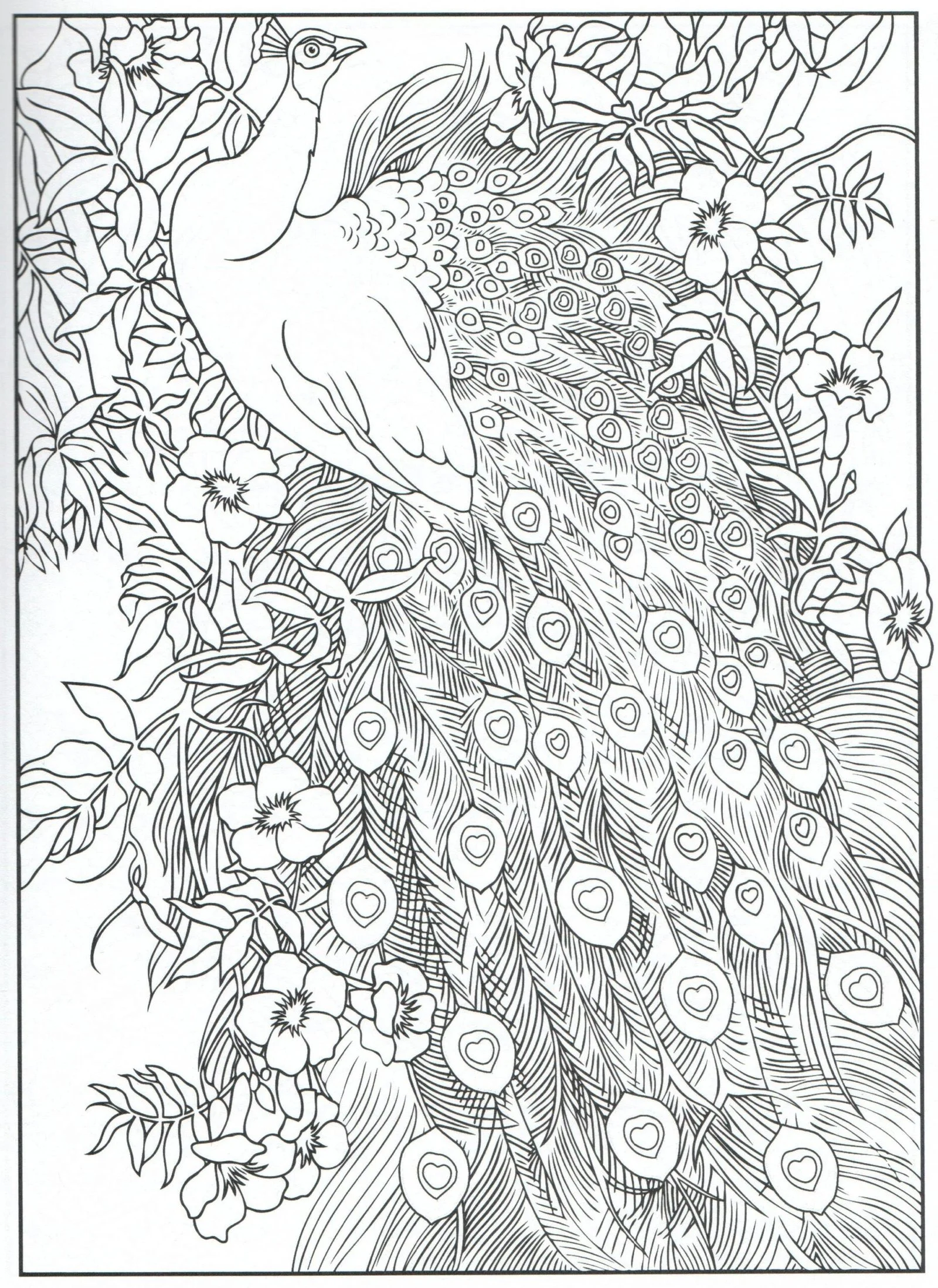 Desenhos de Paginas Dificeis Para Colorir 36