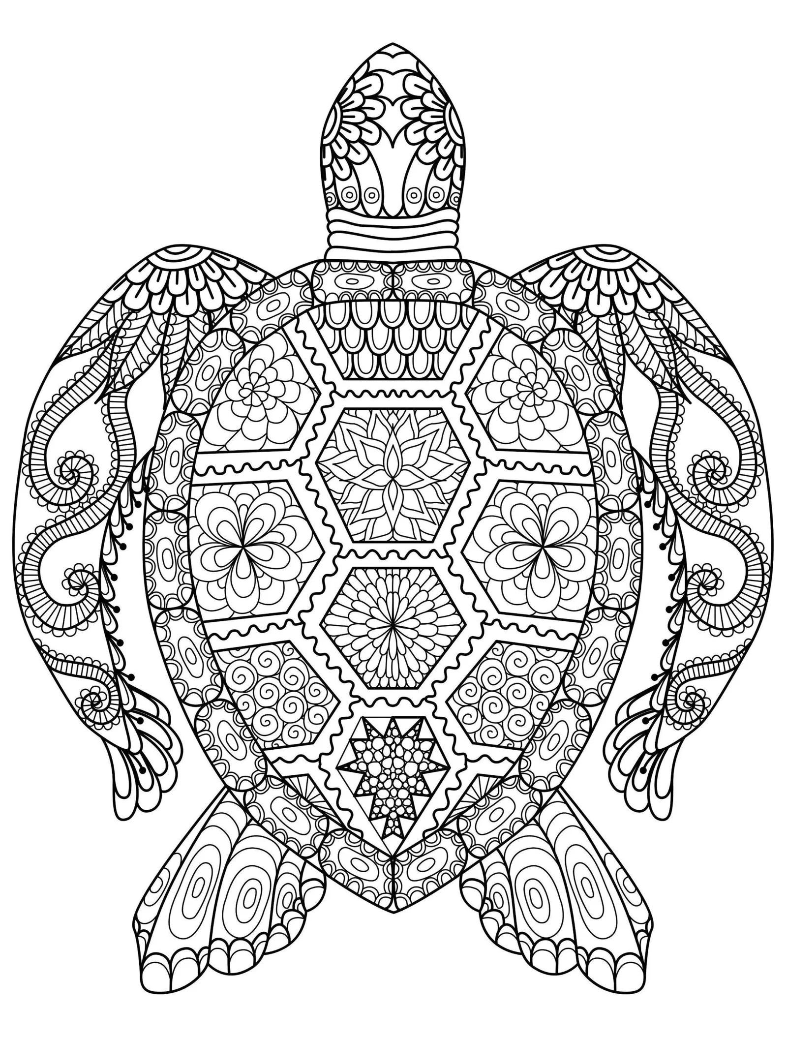 Desenhos de Paginas Dificeis Para Colorir 8
