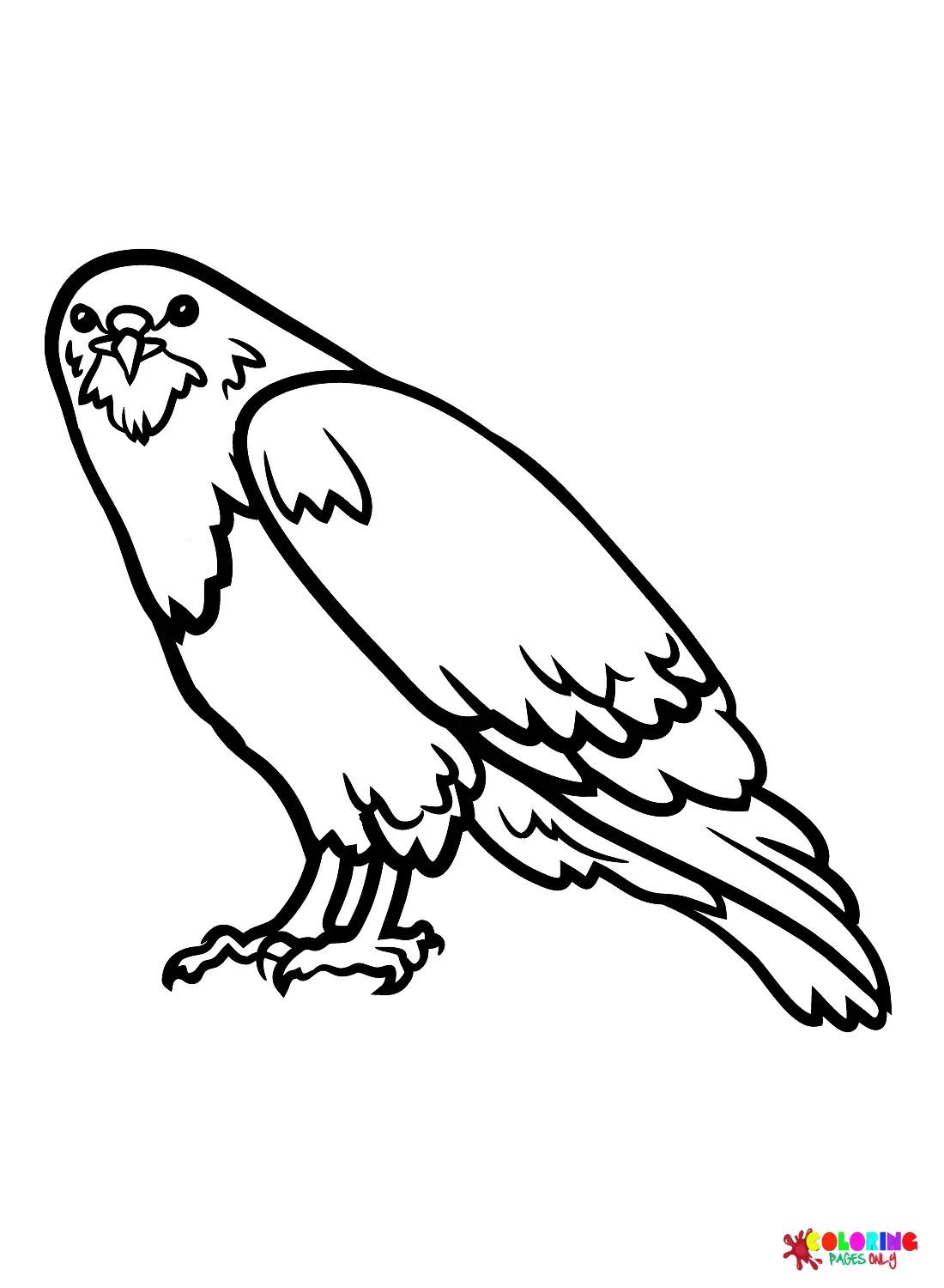 Hawks Coloring Pages 11