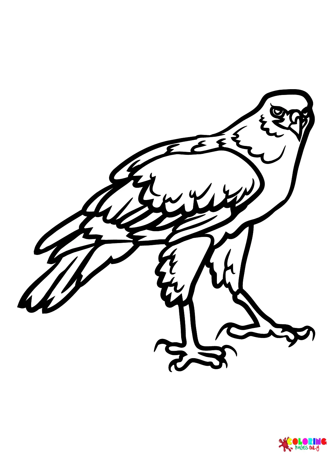 Hawks Coloring Pages 19