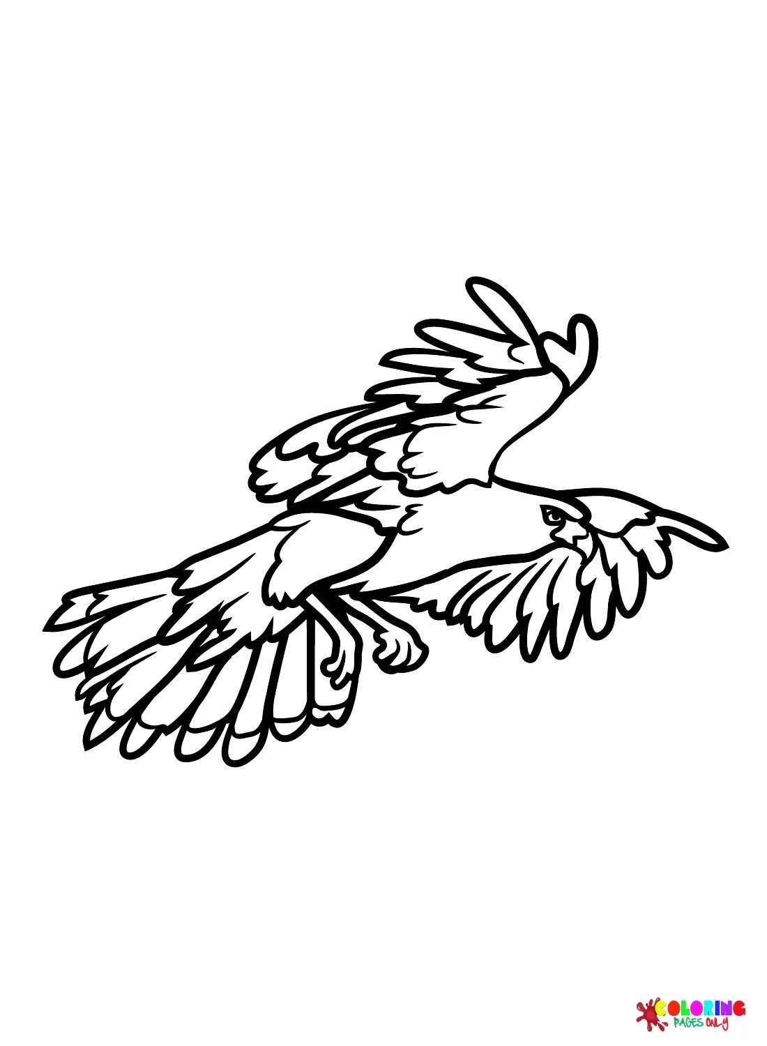 Hawks Coloring Pages 20