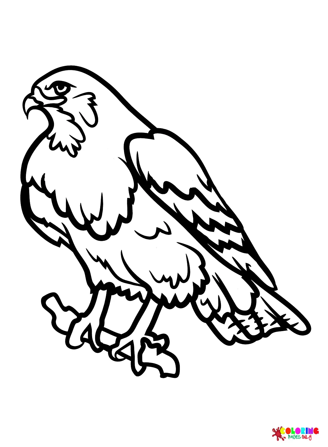 Hawks Coloring Pages 21