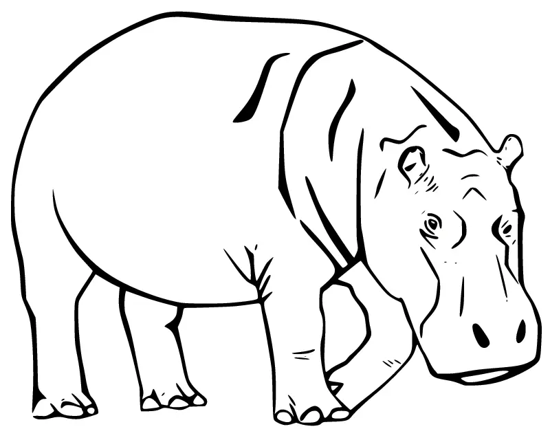 Desenhos de Hipopotamo Para Colorir 50