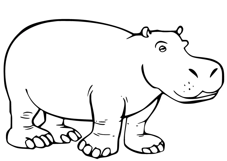 Hippo Coloring Pages 63