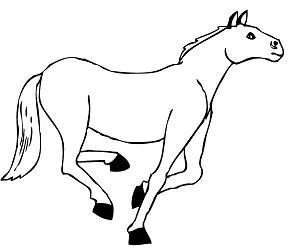 Desenhos de Horse Para Colorir 145