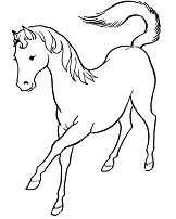 Desenhos de Horse Para Colorir 82