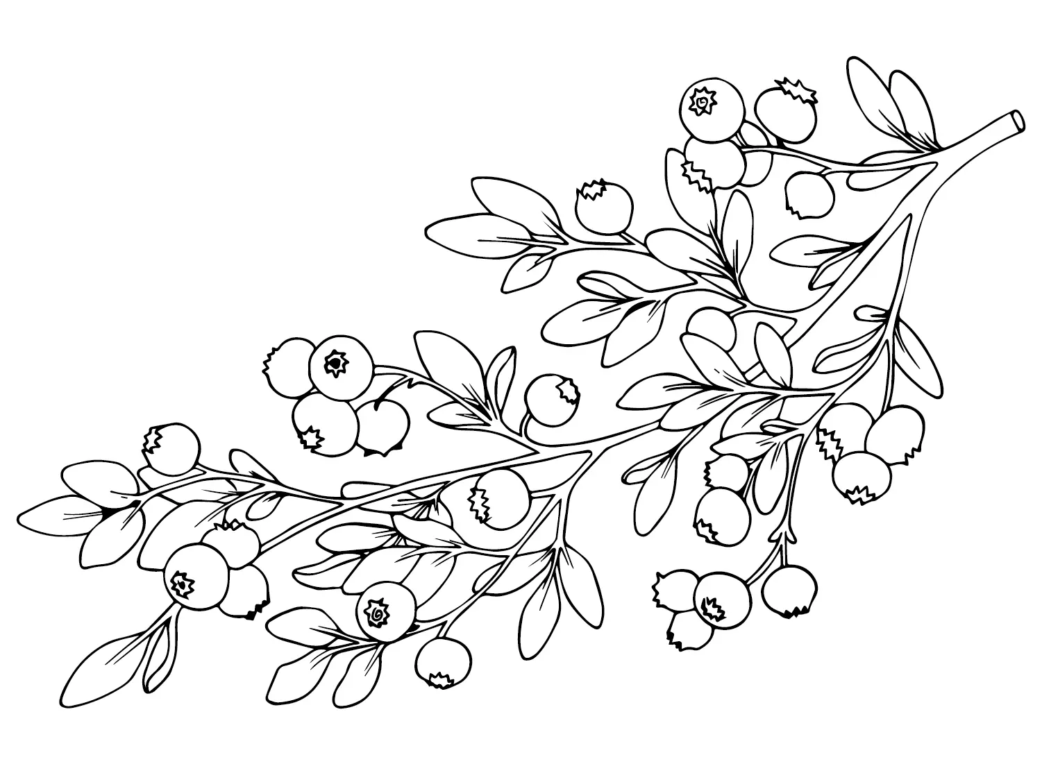 Huckleberry Coloring Pages 13