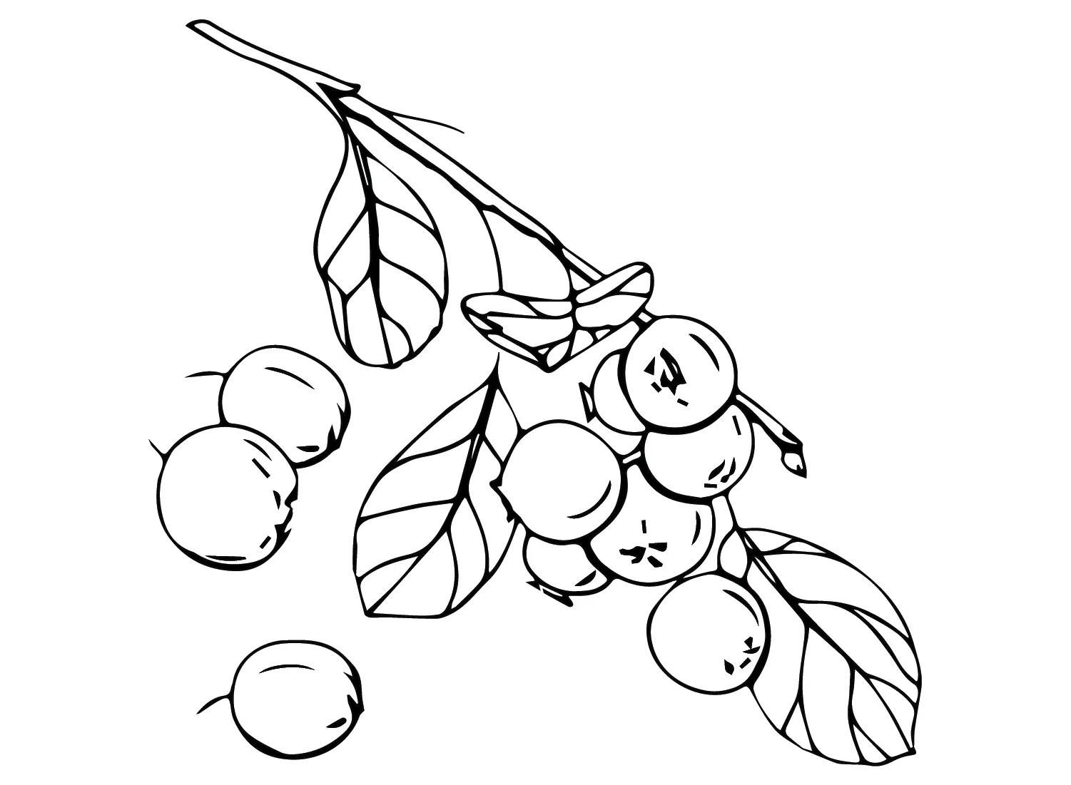 Huckleberry Coloring Pages 3
