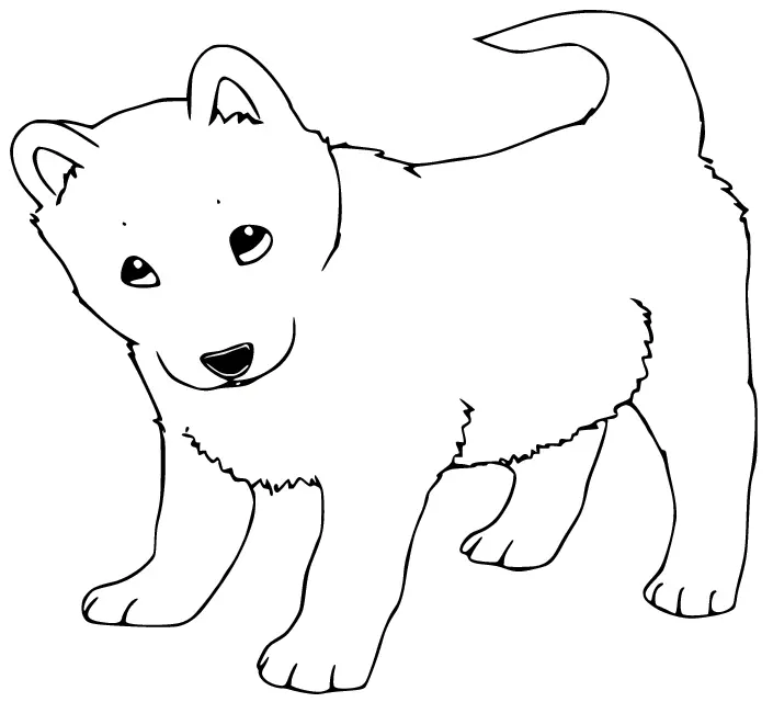 Husky Para Colorear 15