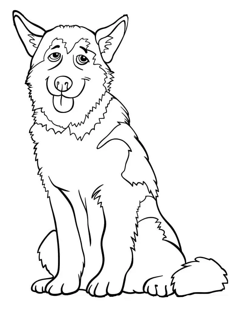 Husky Para Colorear 23