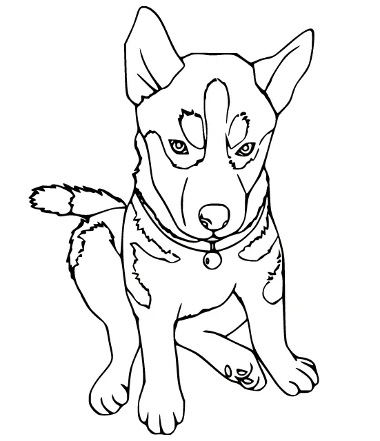 Husky Para Colorear 40