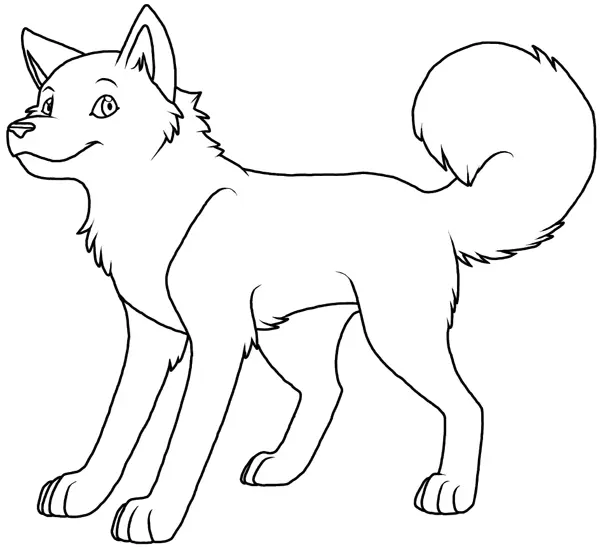Husky Para Colorear 47