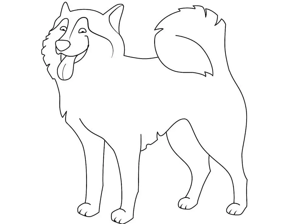 Husky Ausmalbilder