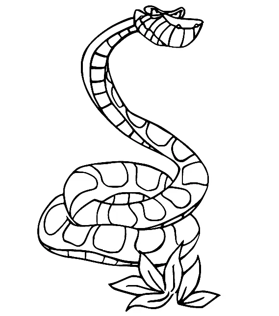 Jungle Book Coloring Pages 31