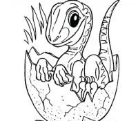 Desenhos de Jurassic World Para Colorir 21