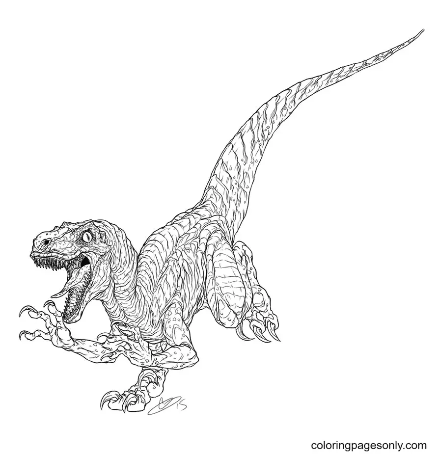 Desenhos de Jurassic World Para Colorir 9