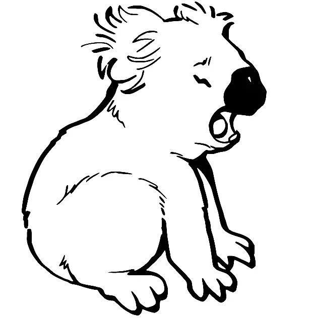 Koala Coloring Pages 56