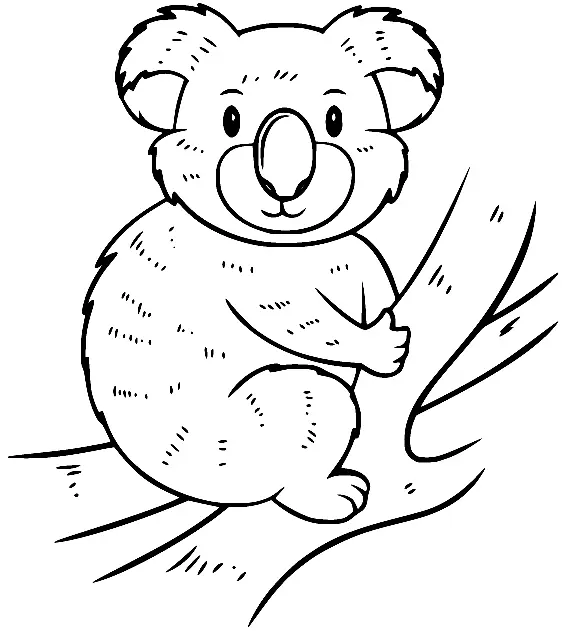 Koalas Para Colorear